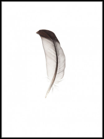 Feather poster